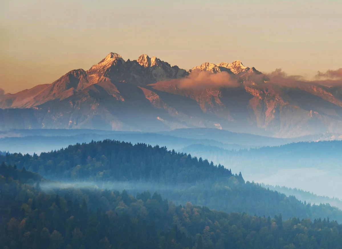 Bazy Danych o produktach i opakowaniach oraz o gospodarce Odpadami w Szwajcarii: Innowacyjne podejścia do zarządzania zasobami i ochrony środowiska