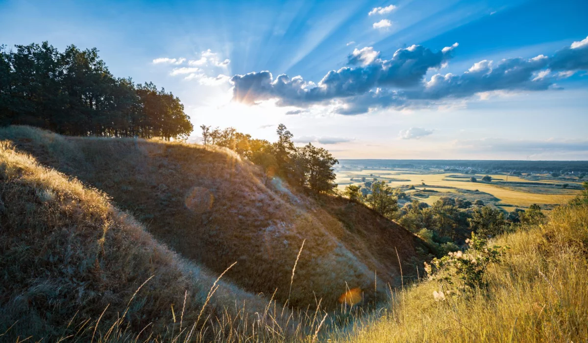 Bazy Danych o produktach i opakowaniach oraz o gospodarce Odpadami w Finlandii: Klucz do zrównoważonego rozwoju i efektywnego zarządzania odpadami