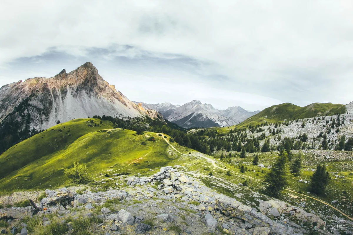 Bazy Danych o produktach i opakowaniach oraz o gospodarce Odpadami w Finlandii: Innowacyjne podejście do zrównoważonego rozwoju