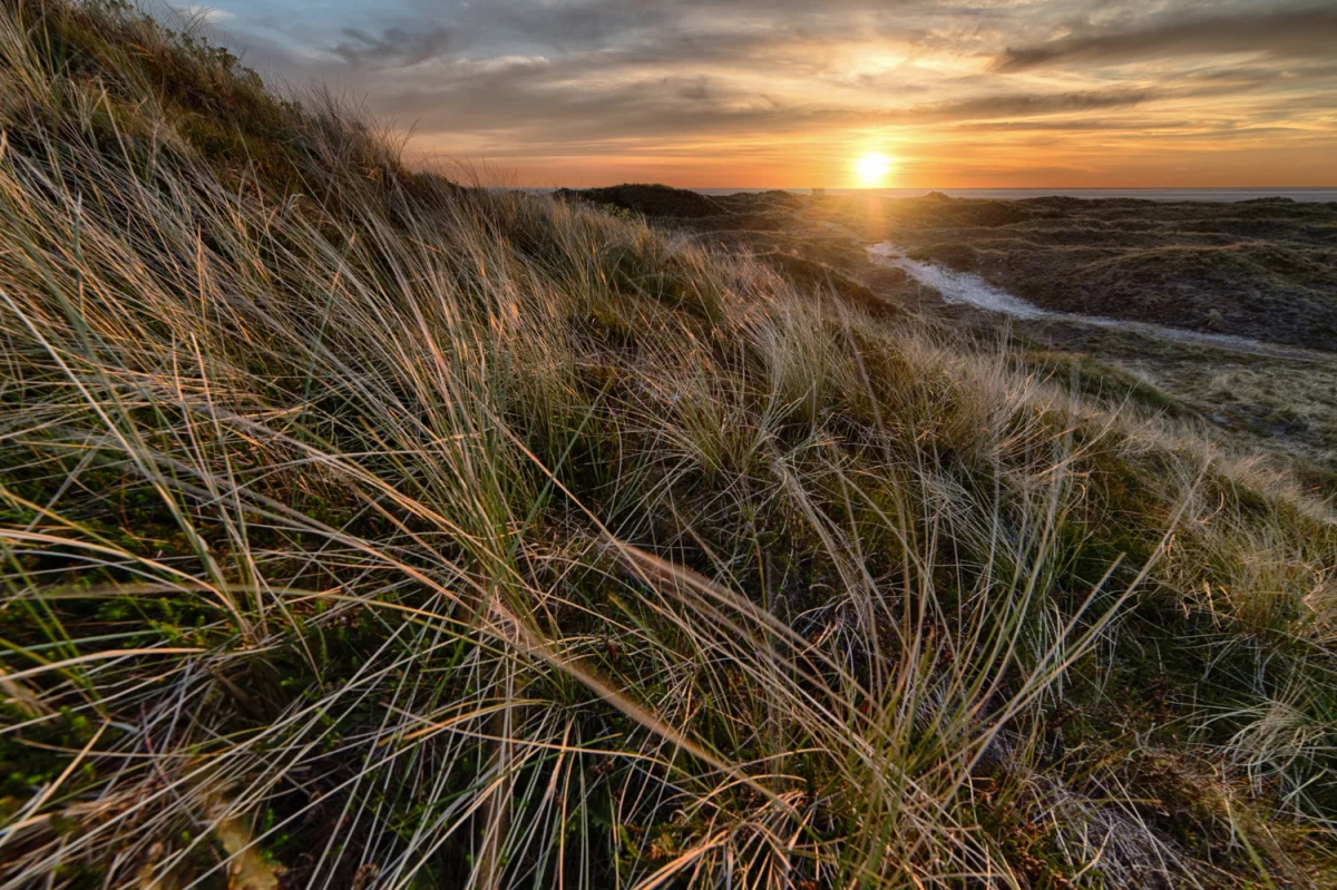 Bazy Danych o produktach i opakowaniach oraz o gospodarce Odpadami w Niemczech: Klucz do zrównoważonego rozwoju i efektywnego zarządzania środowiskiem