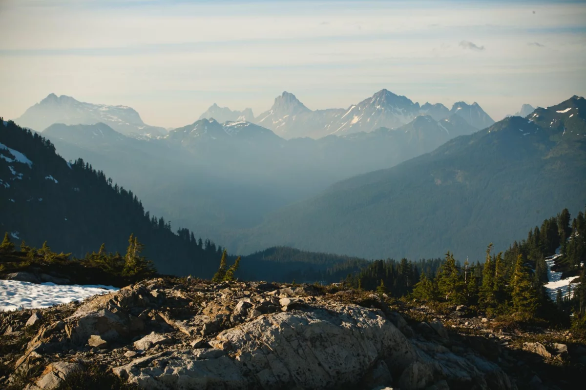 Bazy Danych o produktach i opakowaniach oraz o gospodarce Odpadami w Bułgarii: Klucz do zrównoważonego rozwoju i efektywnego zarządzania zasobami